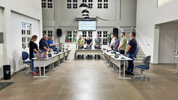 Câmara autoriza a criação do Organismo de Políticas para as Mulheres