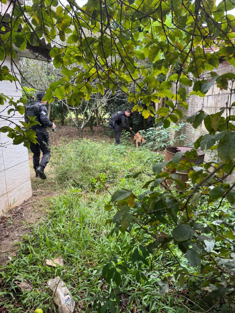 Foto: Divulgação