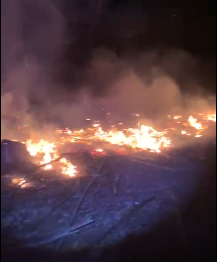 Incêndios atingem áreas de mata em Paverama e Teutônia
