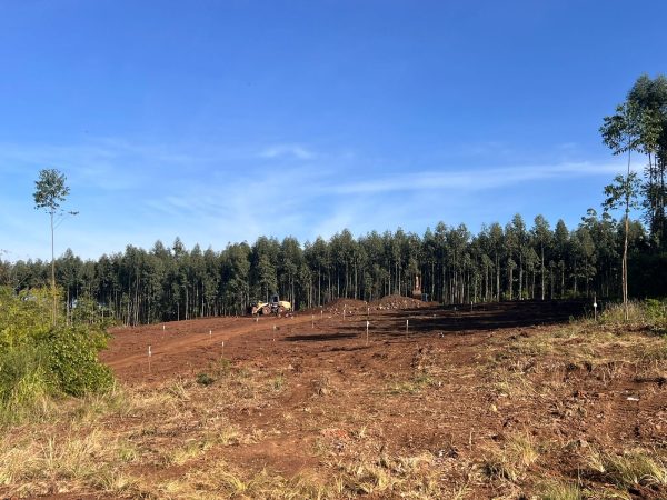Município assina ordem de início para construção de 20 casas populares
