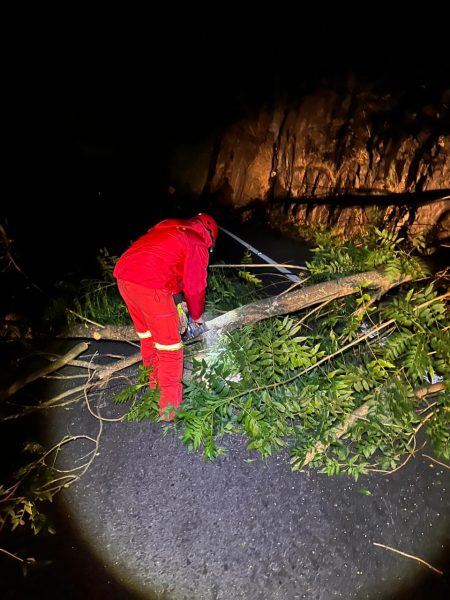 Quedas de árvores obstruem trechos de rodovias em Teutônia e Westfália