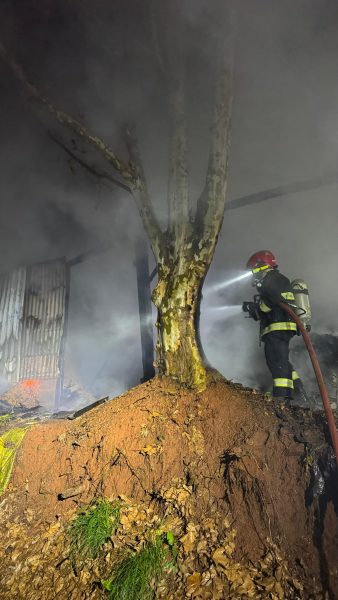 Incêndio atinge aviário no interior de Westfália
