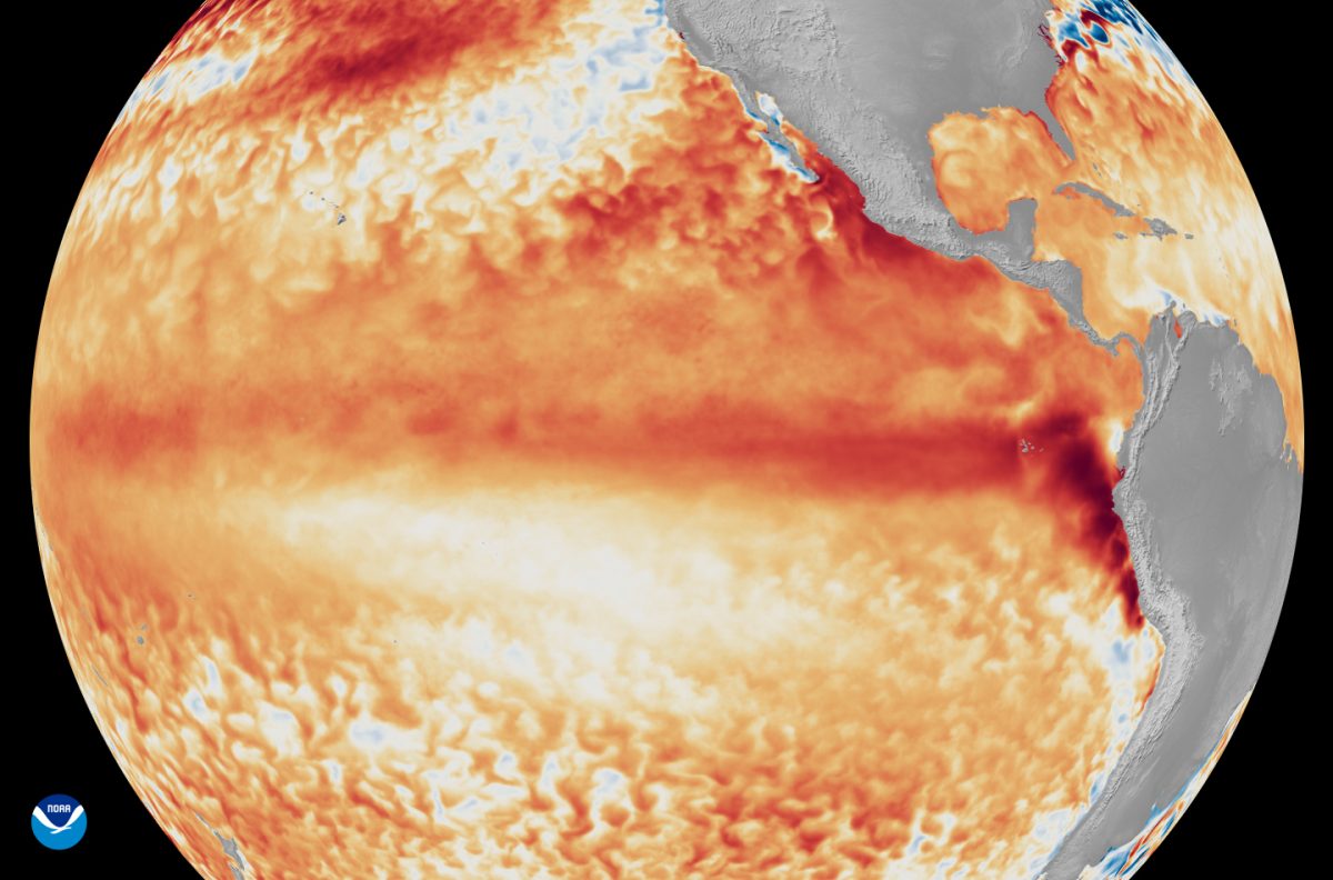 Imagem de satélite mostra a Imagens de satélite mostrando a diferença entre a temperatura média da superfície do mar no Equador, no Oceano Pacífico tropical (representada por vários tons de vermelho e laranja para indicar o calor), durante a primeira semana de junho de 2026. Foto: NOAA Satellittes/Reprodução