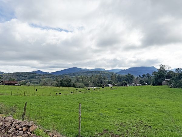 Dúvidas sobre efeitos do El Niño geram insegurança no agro gaúcho
