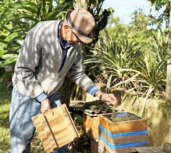 Entre caixas e colmeias, um movimento pela biodiversidade