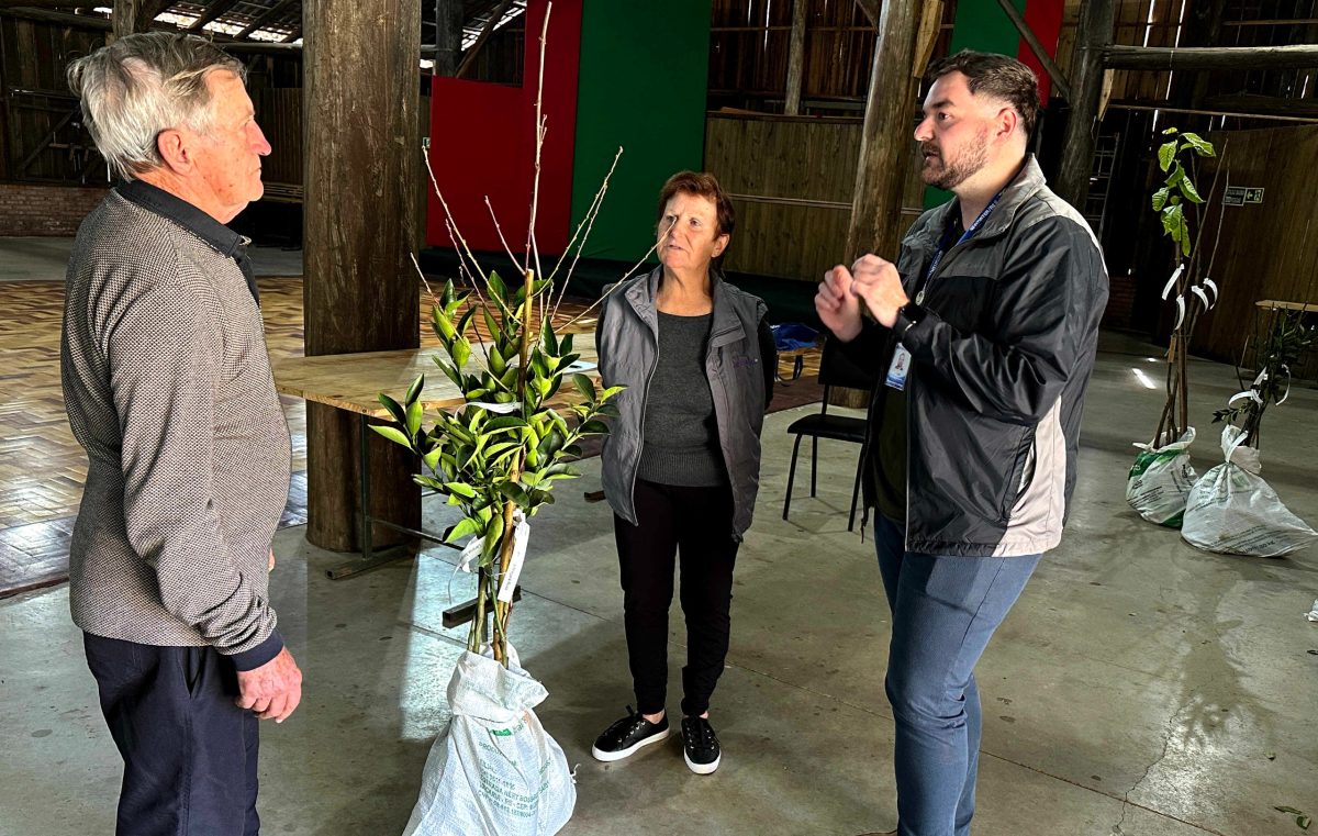 Além da entrega das mudas, o extensionista rural da Emater/RS-Ascar em Westfália, Luan Carlos Güntzel (d), prestou orientações técnicas aos participantes, esclarecendo dúvidas sobre os principais cuidados necessários para garantir o bom desenvolvimento das plantas | Foto: Divulgação Prefeitura de Westfália / Leandro Augusto Hamester