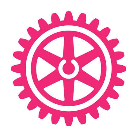 Sancionada lei que institui o Dia Nacional do Rotaractiano
