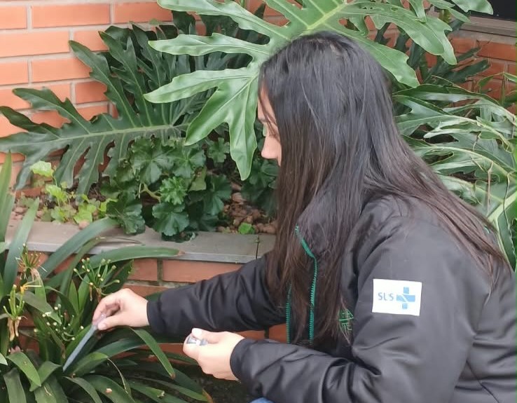 Fazenda Vilanova realiza levantamento para identificar focos do Aedes aegypti