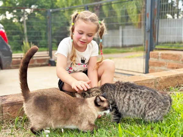 Entre afeto e responsabilidade, o papel dos animais na infância